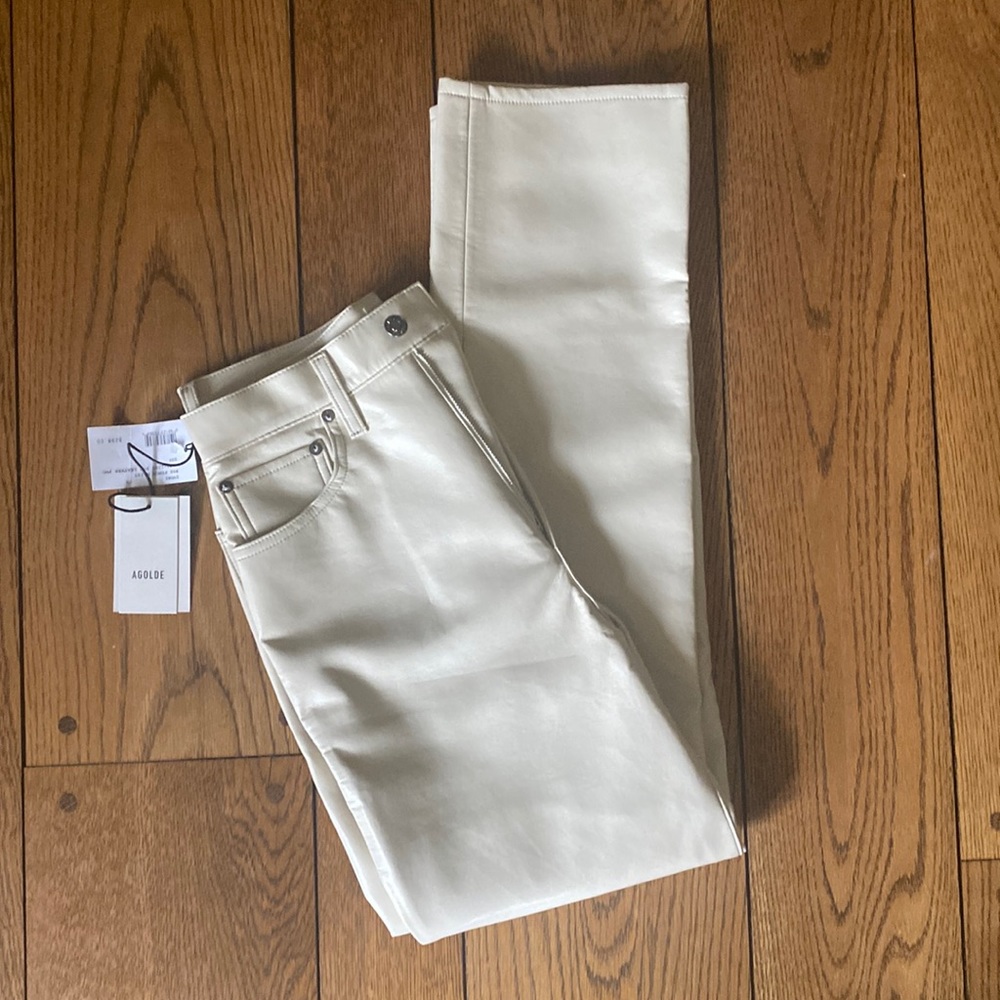 Agolde Recycled Leather Pants